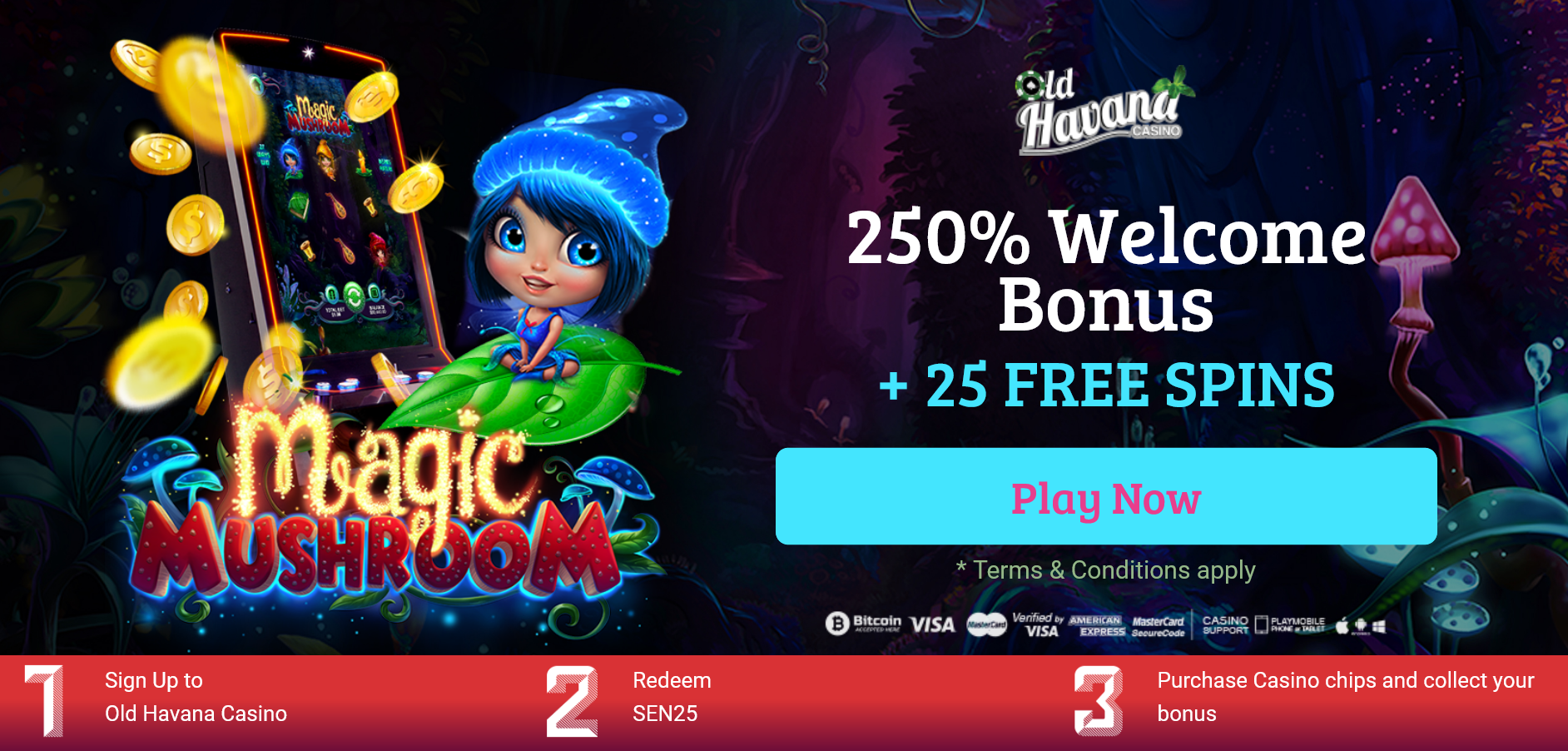 250% WELCOME BONUS + 25
                                        FREE SPINS